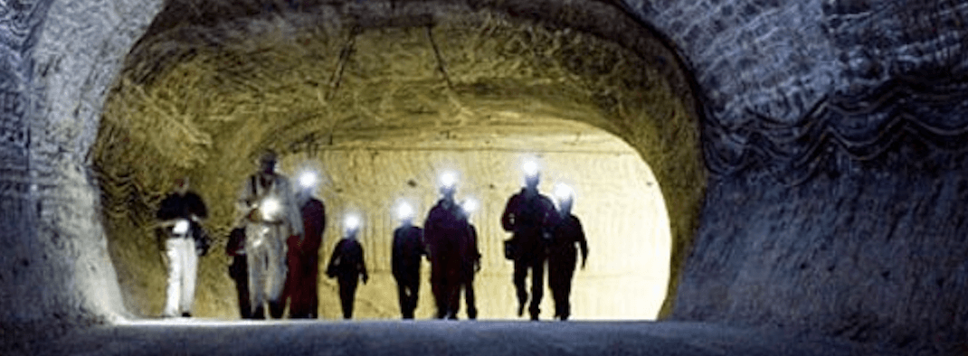 Expeditions into the Future